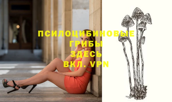 не бодяженный Карпинск