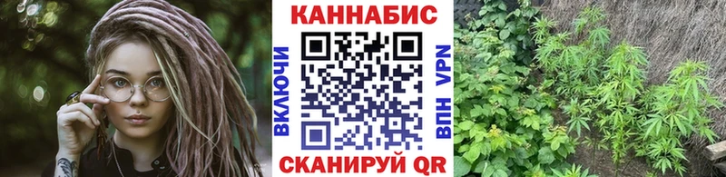Шишки марихуана SATIVA & INDICA  Купить  Горбатов 